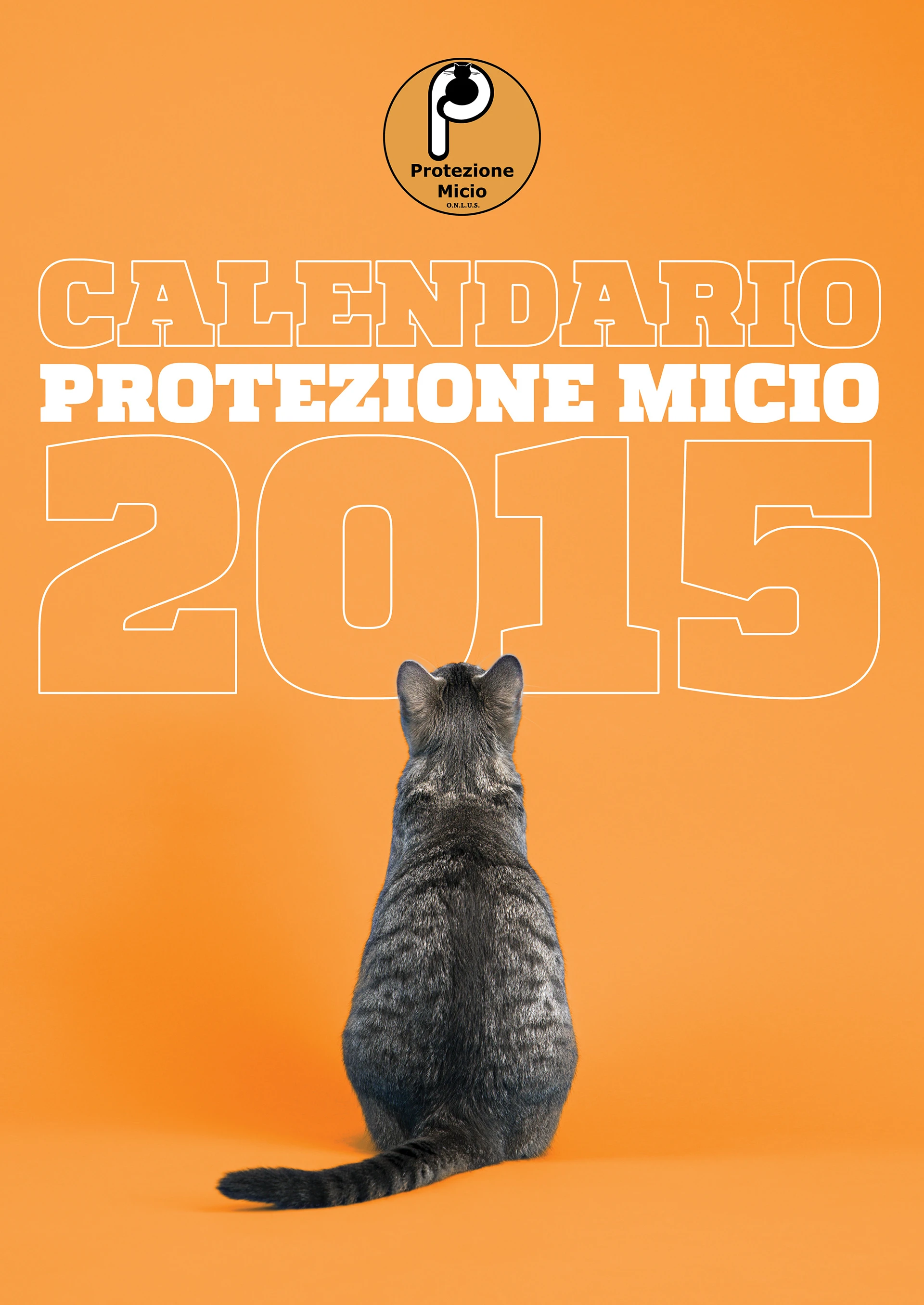 Calendario Protezione Micio 2015, immagine 3