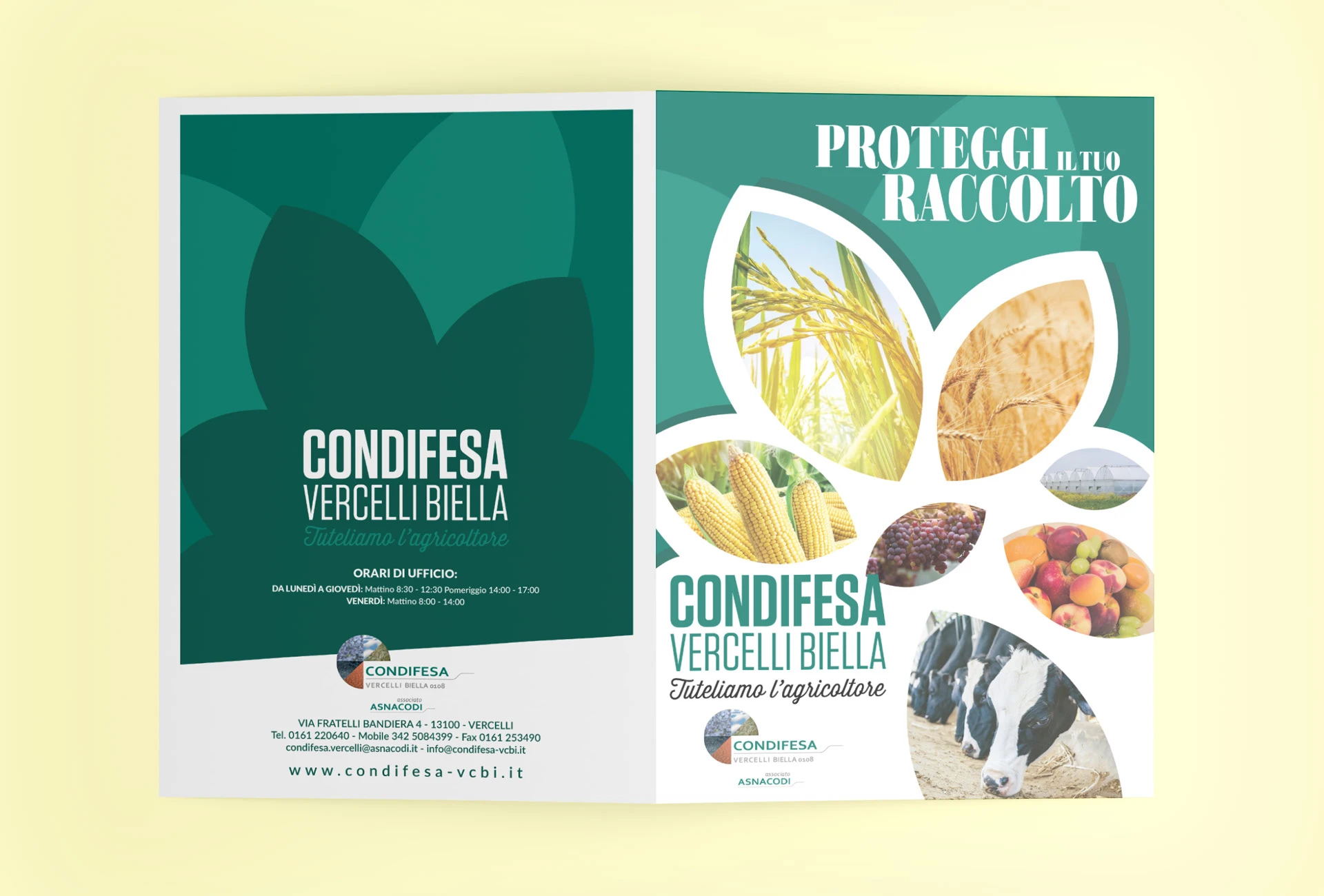 Brochure Condifesa Vercelli, immagine 2