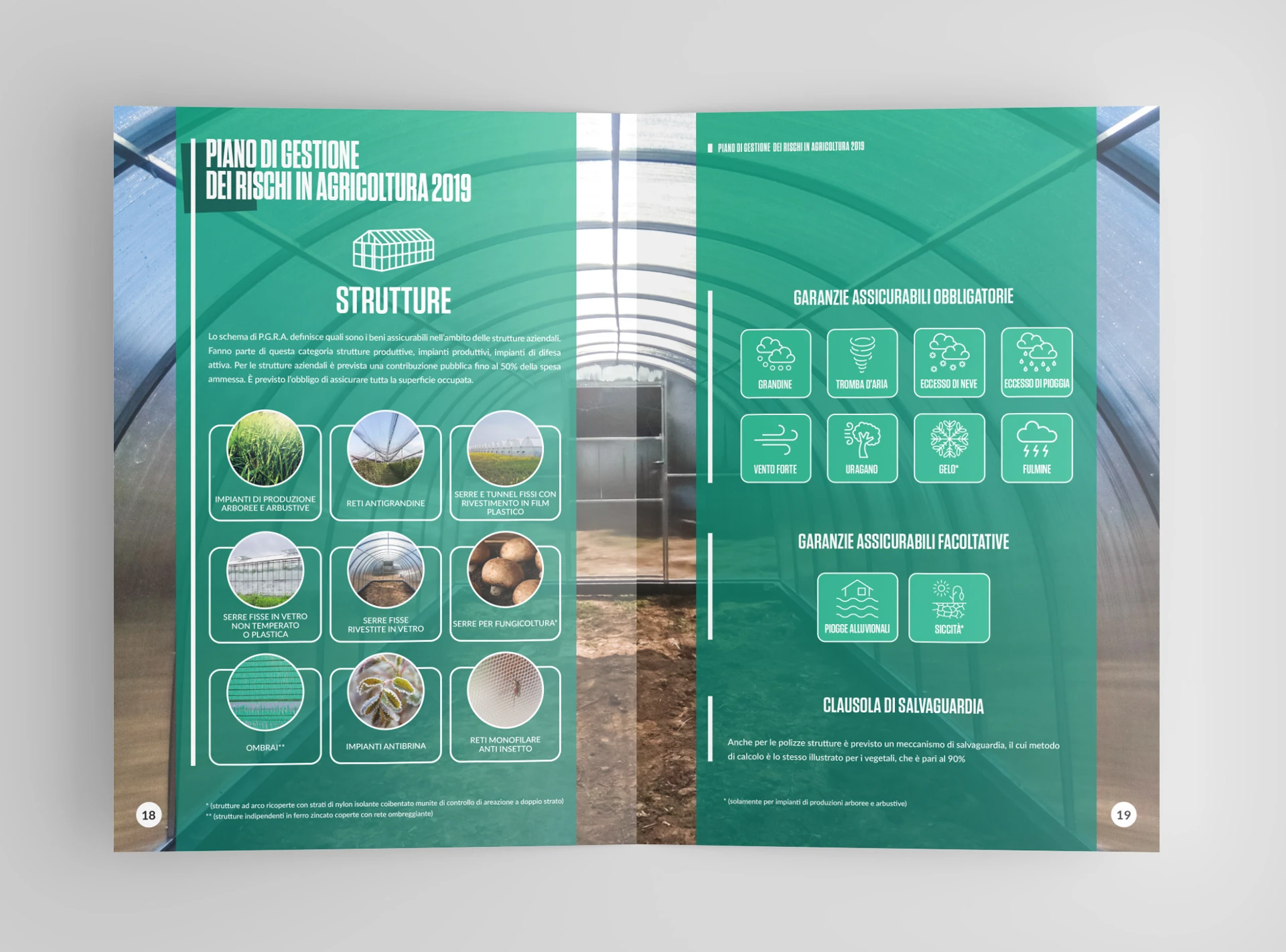 Brochure Condifesa Vercelli, immagine 3